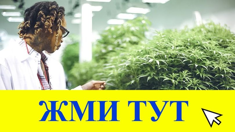 Купить наркотики в Новокузнецке